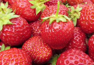 Aedmaasikas 'Sonata' (Fragaria x ananassa)