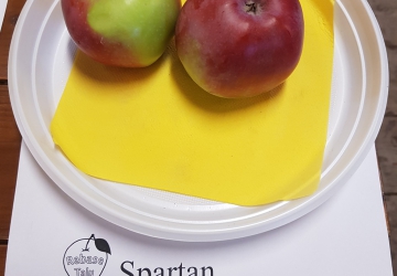 Aed-õunapuu 'Spartan' (Malus domestica Borkh.)