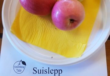 Aed-õunapuu ‘Suislepp’ (Malus domestica Borkh.)