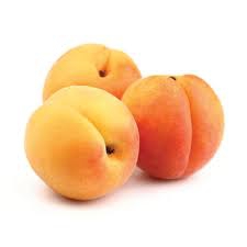 Aprikoosipuu ‘Morden‘s early’ (Prunus armeniaca)