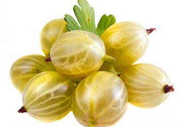 Karusmari ‘Hinnonmäe kollane’ (Ribes uva-crispa L.)
